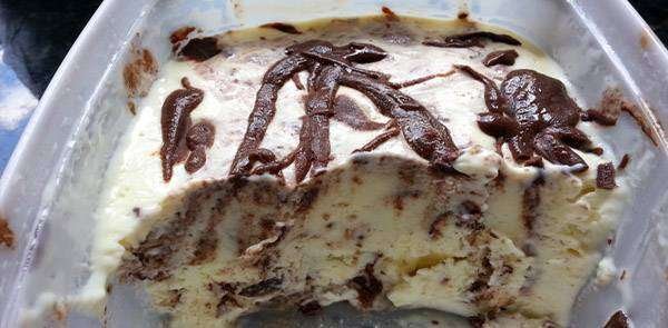 🍨 Sorvete Trufado de Doce de Leite